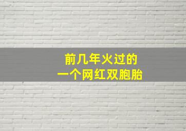 前几年火过的一个网红双胞胎