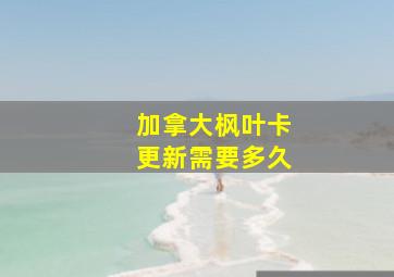 加拿大枫叶卡更新需要多久