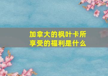 加拿大的枫叶卡所享受的福利是什么