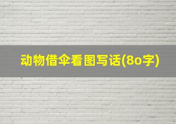 动物借伞看图写话(8o字)