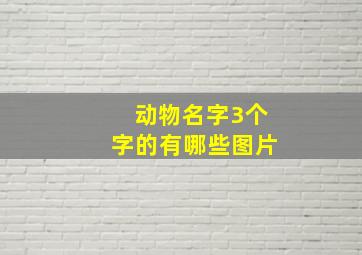 动物名字3个字的有哪些图片