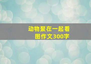 动物聚在一起看图作文300字