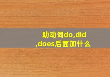 助动词do,did,does后面加什么