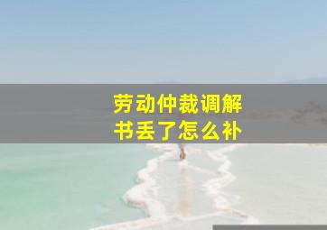 劳动仲裁调解书丢了怎么补