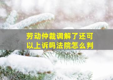 劳动仲裁调解了还可以上诉吗法院怎么判