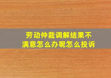 劳动仲裁调解结果不满意怎么办呢怎么投诉