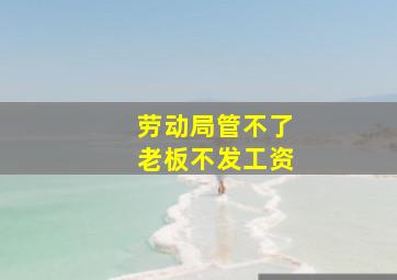 劳动局管不了老板不发工资