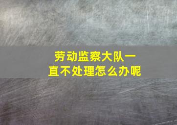 劳动监察大队一直不处理怎么办呢