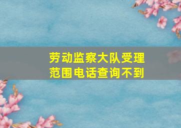 劳动监察大队受理范围电话查询不到