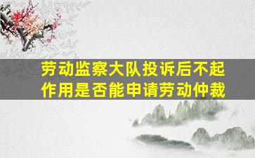 劳动监察大队投诉后不起作用是否能申请劳动仲裁