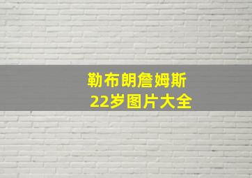 勒布朗詹姆斯22岁图片大全