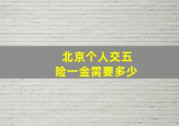 北京个人交五险一金需要多少