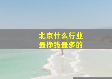 北京什么行业最挣钱最多的