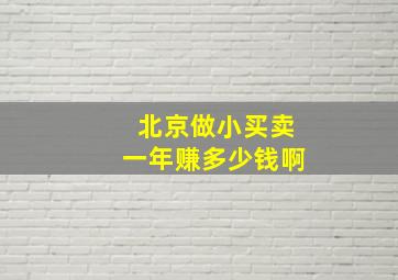 北京做小买卖一年赚多少钱啊