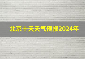 北京十天天气预报2024年