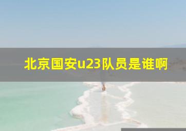 北京国安u23队员是谁啊