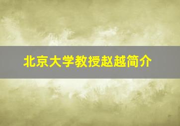 北京大学教授赵越简介