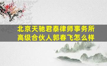 北京天驰君泰律师事务所高级合伙人郭春飞怎么样