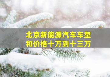 北京新能源汽车车型和价格十万到十三万