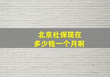 北京社保现在多少钱一个月啊