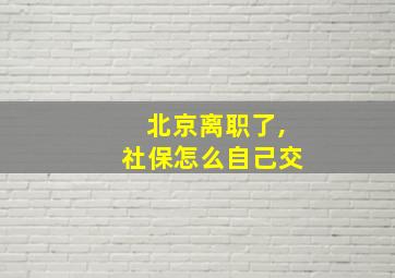 北京离职了,社保怎么自己交