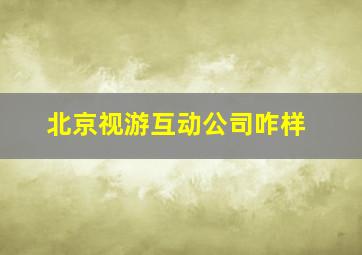 北京视游互动公司咋样