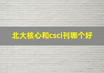 北大核心和csci刊哪个好