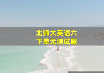 北师大英语六下单元测试题