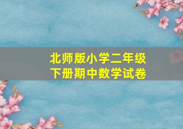 北师版小学二年级下册期中数学试卷