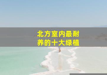 北方室内最耐养的十大绿植