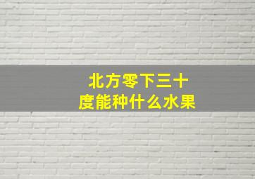 北方零下三十度能种什么水果