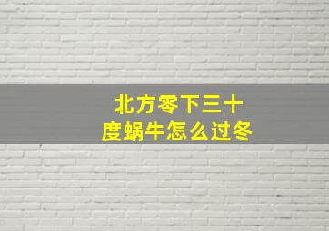 北方零下三十度蜗牛怎么过冬