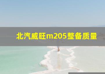 北汽威旺m205整备质量