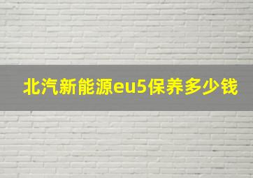 北汽新能源eu5保养多少钱