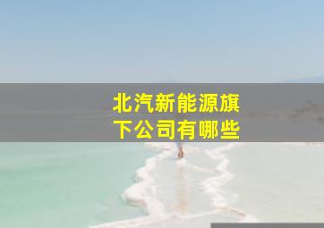 北汽新能源旗下公司有哪些