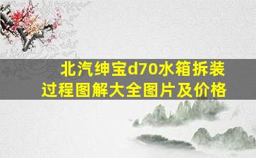 北汽绅宝d70水箱拆装过程图解大全图片及价格