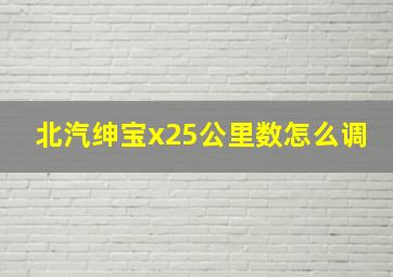 北汽绅宝x25公里数怎么调