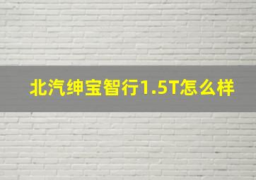 北汽绅宝智行1.5T怎么样