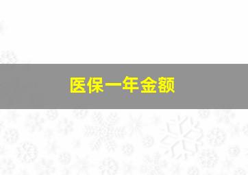 医保一年金额