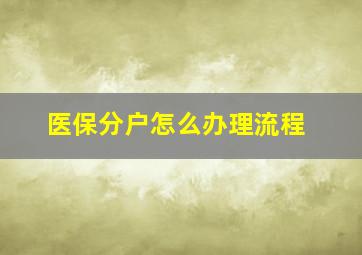 医保分户怎么办理流程