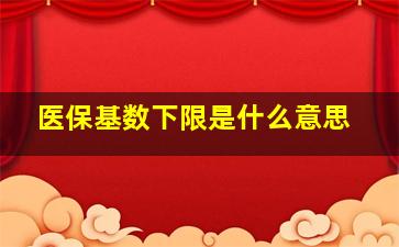 医保基数下限是什么意思