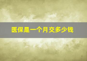 医保是一个月交多少钱