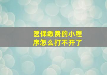 医保缴费的小程序怎么打不开了