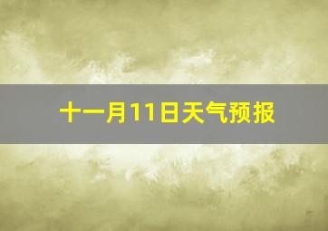 十一月11日天气预报