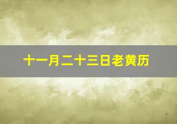 十一月二十三日老黄历