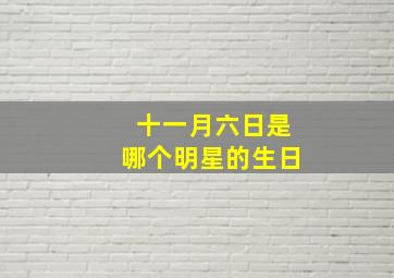 十一月六日是哪个明星的生日