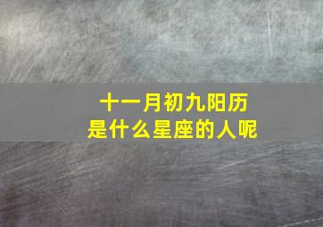 十一月初九阳历是什么星座的人呢