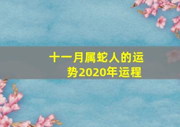 十一月属蛇人的运势2020年运程