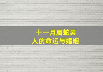 十一月属蛇男人的命运与婚姻