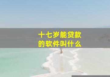 十七岁能贷款的软件叫什么